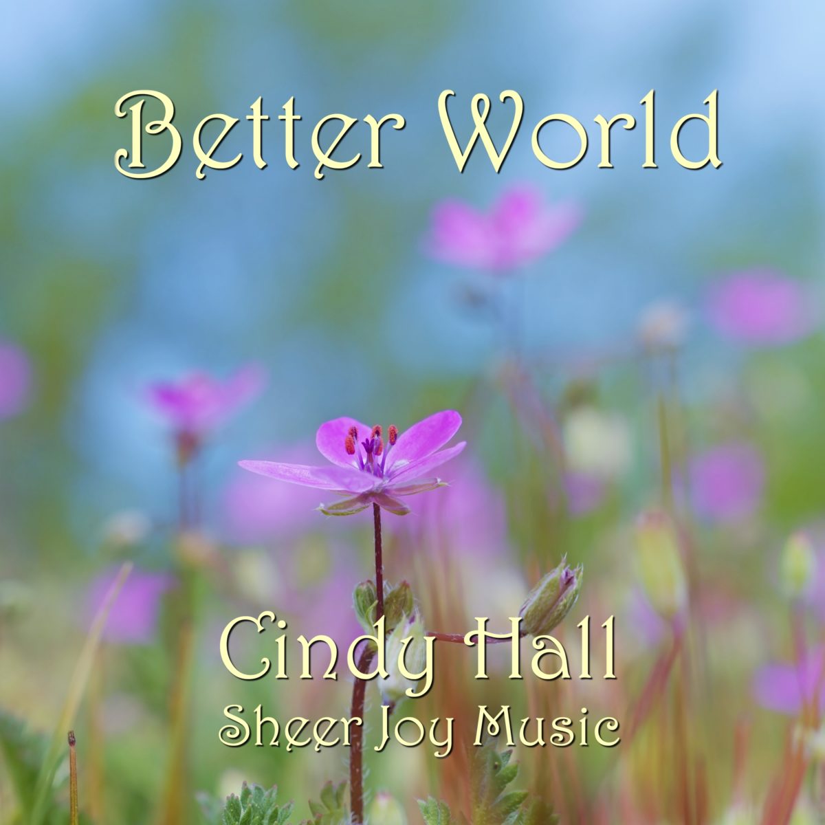 Build A Better World